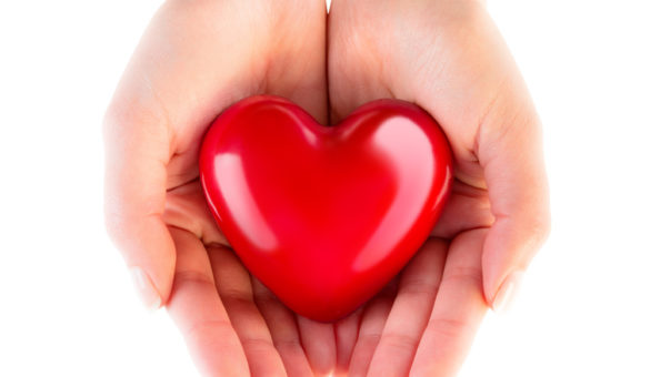 heart in hands – donation of love heart in hands – donation of love